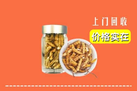 汉中市西乡回收散虫草