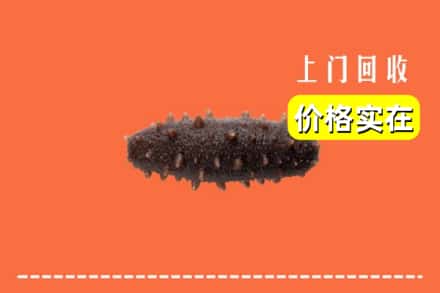 汉中市西乡回收海参