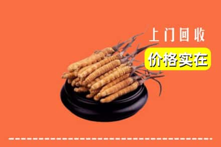 汉中市西乡回收冬虫夏草